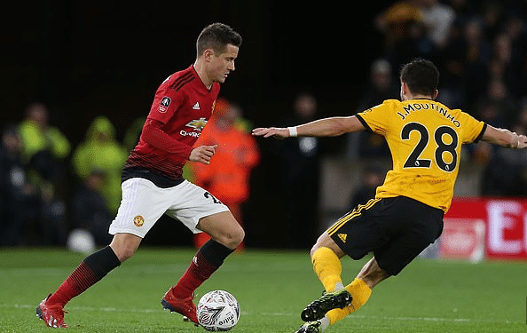 球迷們可以 球迷們可以